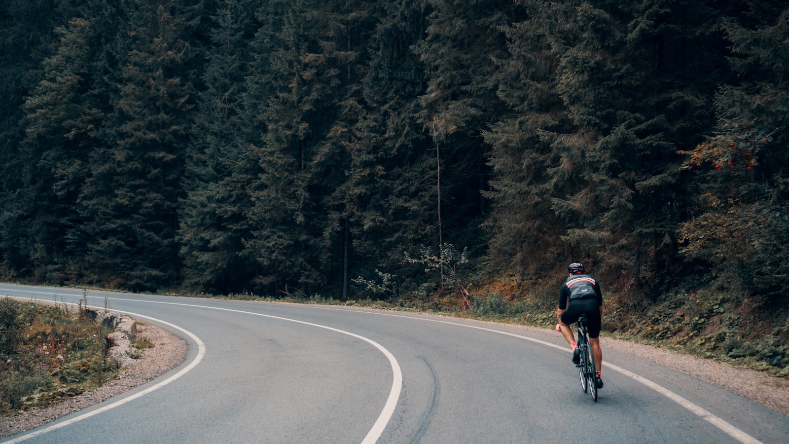 Solo cyclist on a quiet forest road